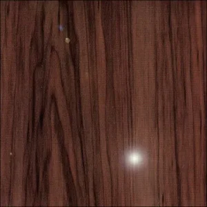 210. Fényes szilva.  MEGSZŰNT!